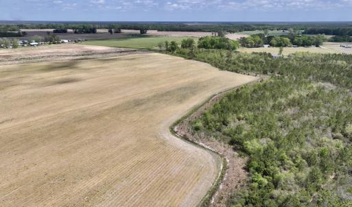 Photo #21 of Off Hwy 41, Trenton, NC 20.0 acres
