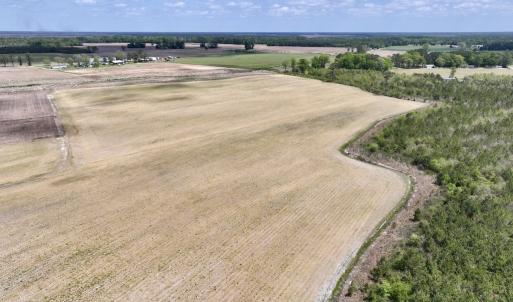 Photo #22 of Off Hwy 41, Trenton, NC 20.0 acres