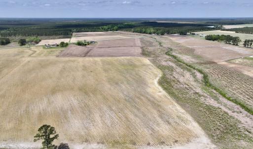 Photo #23 of Off Hwy 41, Trenton, NC 20.0 acres