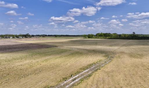 Photo #24 of Off Hwy 41, Trenton, NC 20.0 acres