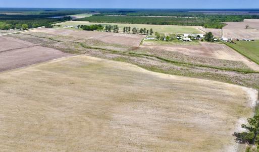 Photo #25 of Off Hwy 41, Trenton, NC 20.0 acres