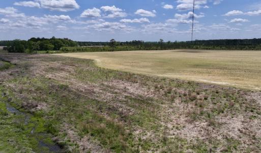 Photo #26 of Off Hwy 41, Trenton, NC 20.0 acres