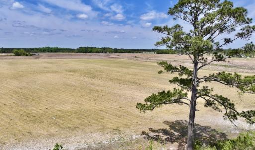 Photo #27 of Off Hwy 41, Trenton, NC 20.0 acres