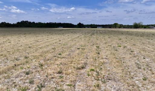 Photo #28 of Off Hwy 41, Trenton, NC 20.0 acres