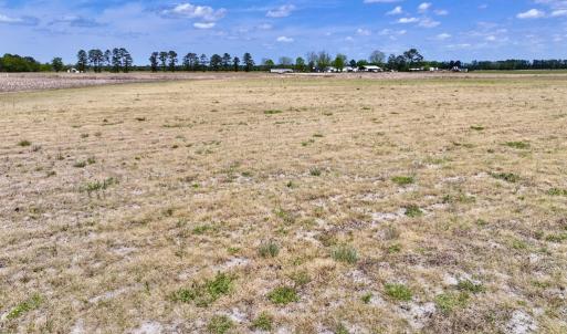Photo #29 of Off Hwy 41, Trenton, NC 20.0 acres