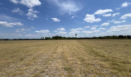 Photo #32 of Off Hwy 41, Trenton, NC 20.0 acres