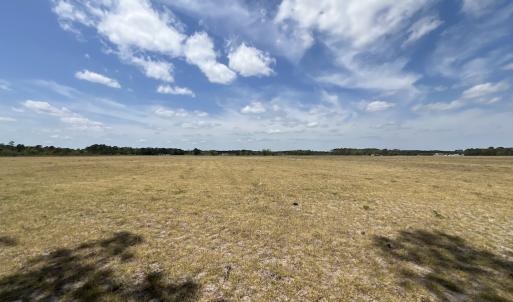 Photo #33 of Off Hwy 41, Trenton, NC 20.0 acres