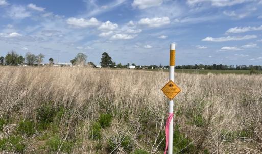 Photo #35 of Off Hwy 41, Trenton, NC 20.0 acres