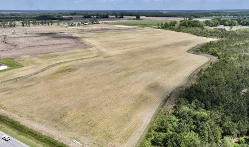 Photo #4 of Off Hwy 41, Trenton, NC 20.0 acres