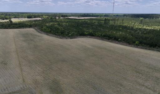Photo #8 of Off Hwy 41, Trenton, NC 20.0 acres