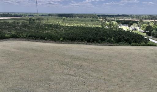 Photo #9 of Off Hwy 41, Trenton, NC 20.0 acres