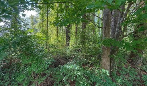 Photo #36 of Off Sailhaven Dr, Oriental, NC 1.1 acres