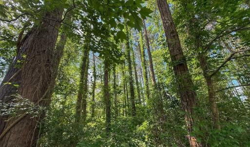 Photo #37 of Off Sailhaven Dr, Oriental, NC 1.1 acres