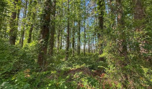 Photo #38 of Off Sailhaven Dr, Oriental, NC 1.1 acres