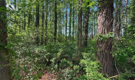 Photo #39 of Off Sailhaven Dr, Oriental, NC 1.1 acres
