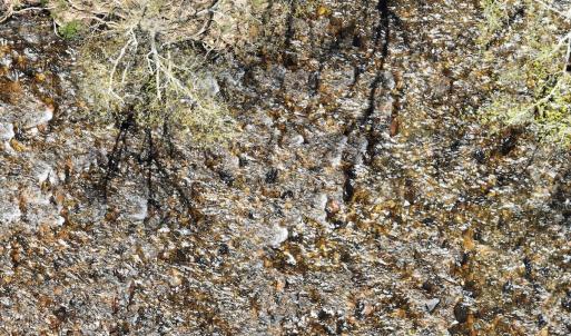 Photo #13 of Off Paint Bank Rd, New Castle, VA 2.1 acres