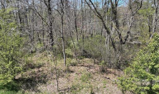 Photo #41 of Off Paint Bank Rd, New Castle, VA 2.1 acres