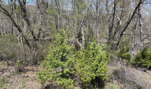 Photo #42 of Off Paint Bank Rd, New Castle, VA 2.1 acres