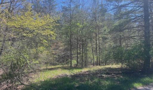 Photo #12 of Off Peaceful Valley Rd, New Castle, VA 0.8 acres