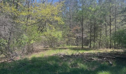 Photo #13 of Off Peaceful Valley Rd, New Castle, VA 0.8 acres