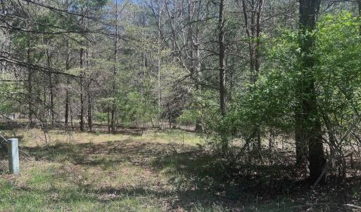 Photo #14 of Off Peaceful Valley Rd, New Castle, VA 0.8 acres