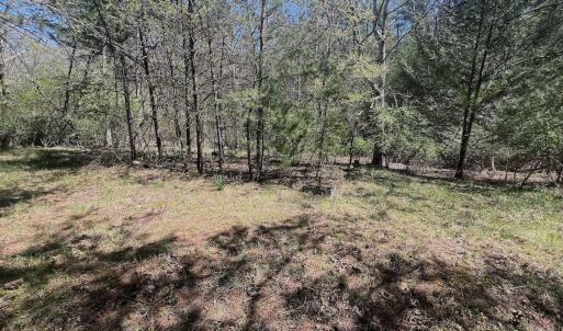 Photo #15 of Off Peaceful Valley Rd, New Castle, VA 0.8 acres