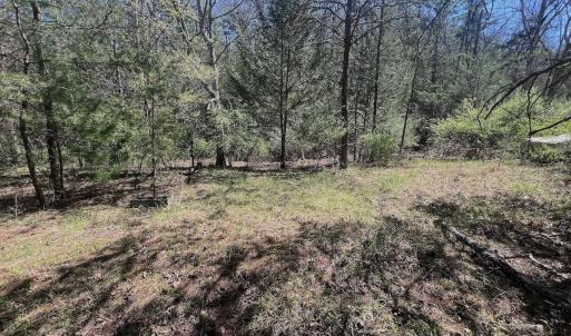 Photo #16 of Off Peaceful Valley Rd, New Castle, VA 0.8 acres