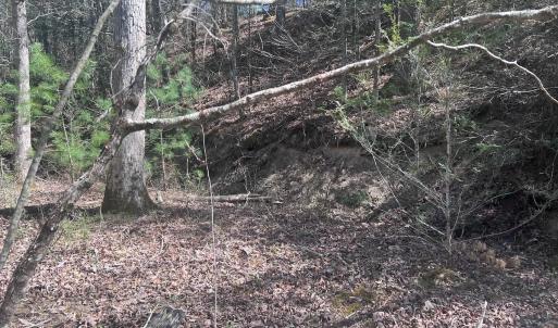 Photo #18 of Off Peaceful Valley Rd, New Castle, VA 0.8 acres