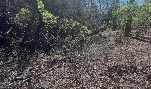 Photo #19 of Off Peaceful Valley Rd, New Castle, VA 0.8 acres