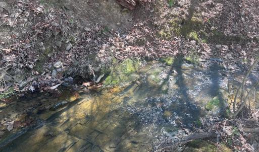 Photo #20 of Off Peaceful Valley Rd, New Castle, VA 0.8 acres