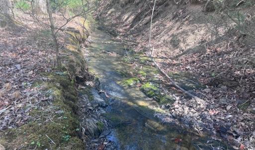 Photo #21 of Off Peaceful Valley Rd, New Castle, VA 0.8 acres