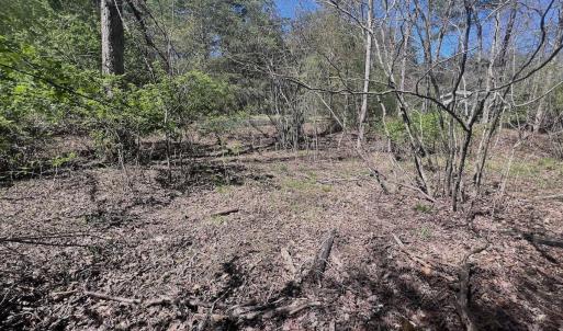 Photo #22 of Off Peaceful Valley Rd, New Castle, VA 0.8 acres