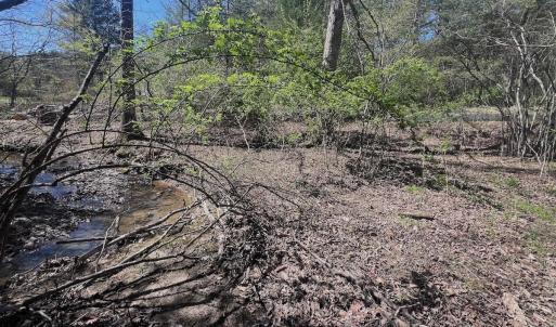 Photo #23 of Off Peaceful Valley Rd, New Castle, VA 0.8 acres