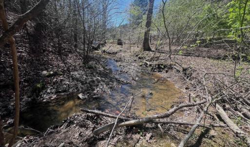 Photo #24 of Off Peaceful Valley Rd, New Castle, VA 0.8 acres