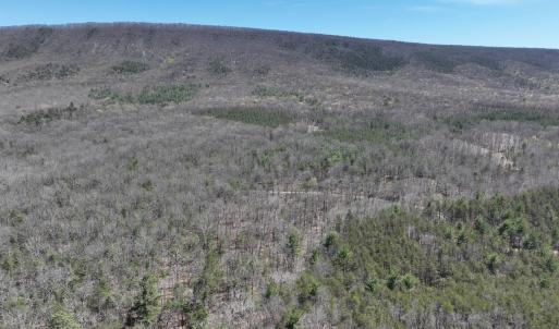 Photo #6 of Off Peaceful Valley Rd, New Castle, VA 0.8 acres