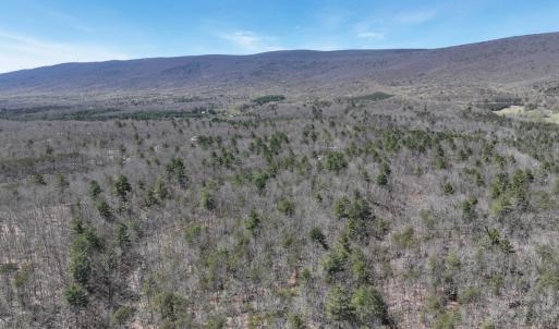 Photo #7 of Off Peaceful Valley Rd, New Castle, VA 0.8 acres