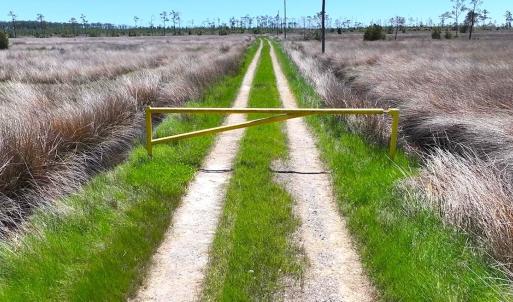 Photo #2 of 501 Drawbridge Rd, Hobucken, NC 461.0 acres