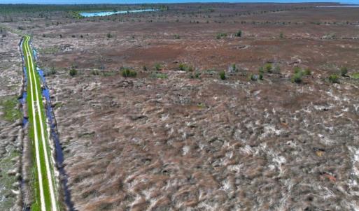 Photo #3 of 501 Drawbridge Rd, Hobucken, NC 461.0 acres