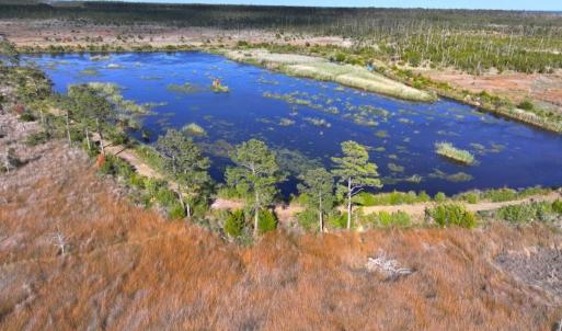Photo #4 of 501 Drawbridge Rd, Hobucken, NC 461.0 acres