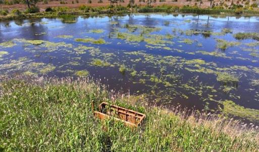 Photo #5 of 501 Drawbridge Rd, Hobucken, NC 461.0 acres