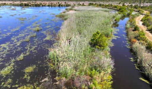 Photo #7 of 501 Drawbridge Rd, Hobucken, NC 461.0 acres