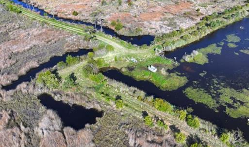 Photo #8 of 501 Drawbridge Rd, Hobucken, NC 461.0 acres