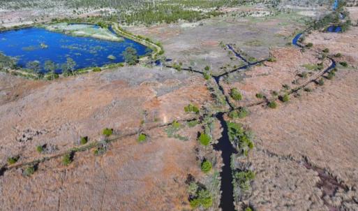 Photo #9 of 501 Drawbridge Rd, Hobucken, NC 461.0 acres