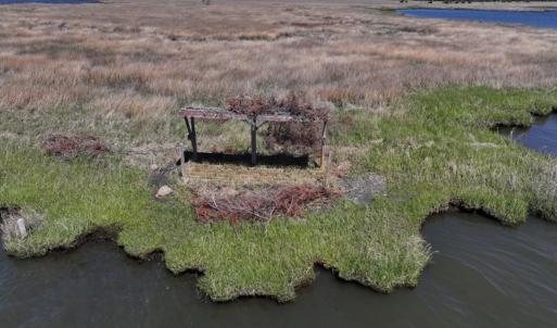 Photo #11 of 501 Drawbridge Rd, Hobucken, NC 461.0 acres
