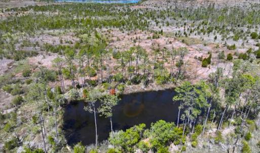 Photo #13 of 501 Drawbridge Rd, Hobucken, NC 461.0 acres