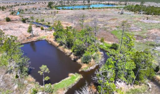 Photo #14 of 501 Drawbridge Rd, Hobucken, NC 461.0 acres