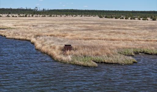 Photo #15 of 501 Drawbridge Rd, Hobucken, NC 461.0 acres