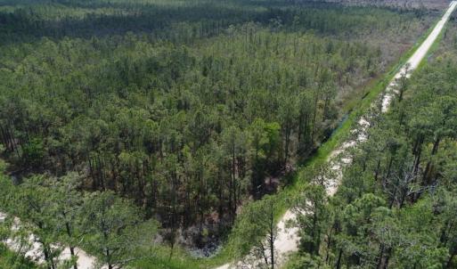 Photo #20 of 501 Drawbridge Rd, Hobucken, NC 461.0 acres