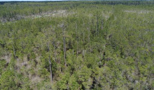 Photo #23 of 501 Drawbridge Rd, Hobucken, NC 461.0 acres