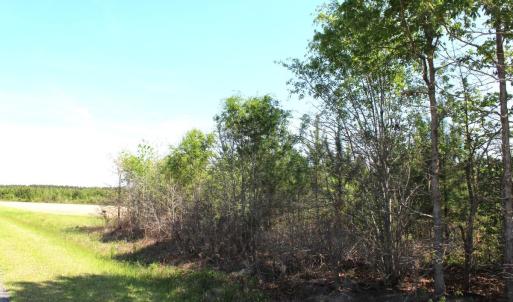 Photo #10 of 241 Joe Phelps Road, Aulander, NC 1.0 acres